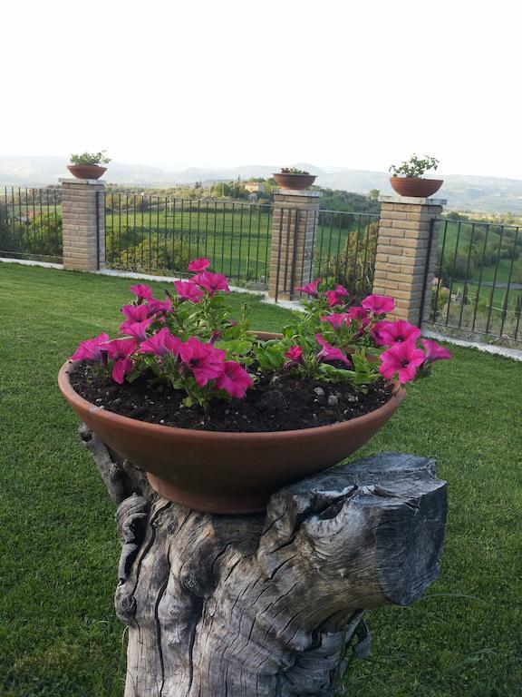 B&B La Piaggia Montemerano Cameră foto